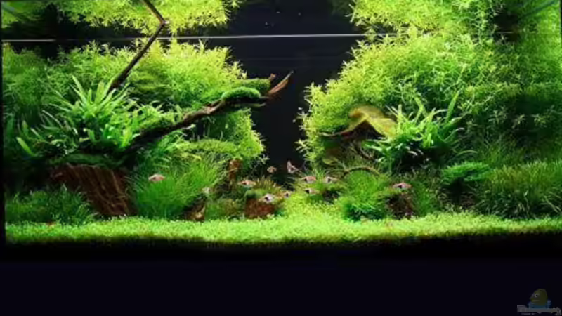 so soll es mal werden hoffe ich von Christoph H. (12) (2)