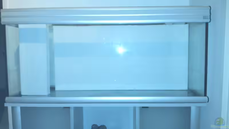 So sollen beide Teile später im Aquarium befestigt werden. von Patrick Scheffer (9)