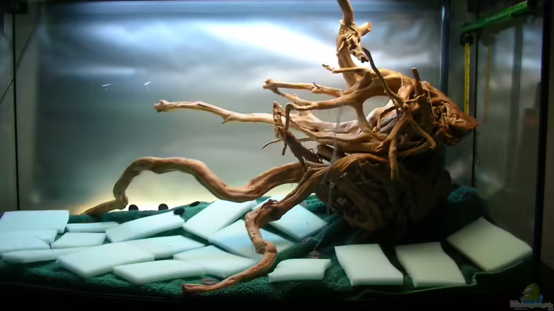 So stand es 10 Monate da! von Fredo Fuss (9)