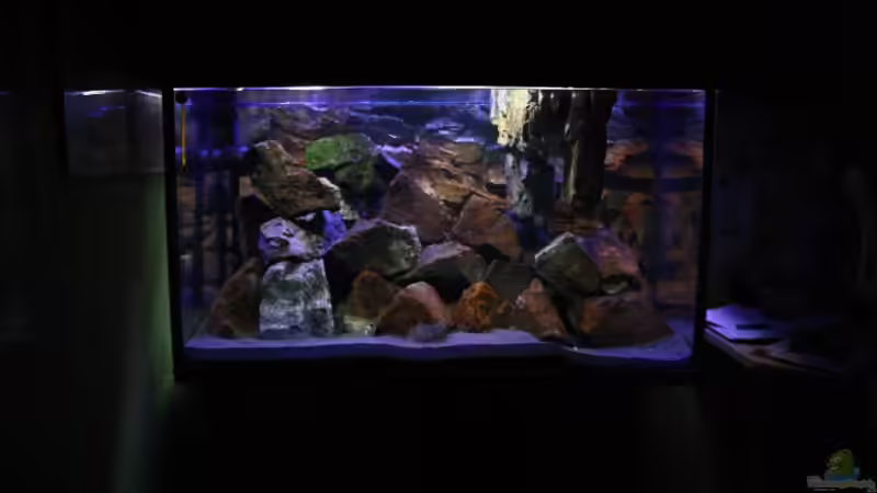 So steht das Becken im Büro,rechts davon mein Schreibtisch!!! von Florian Bandhauer (21)