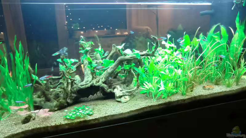 So und jetzt soll alles erstmal in Ruhe wachsen von Anna S. B. (5)