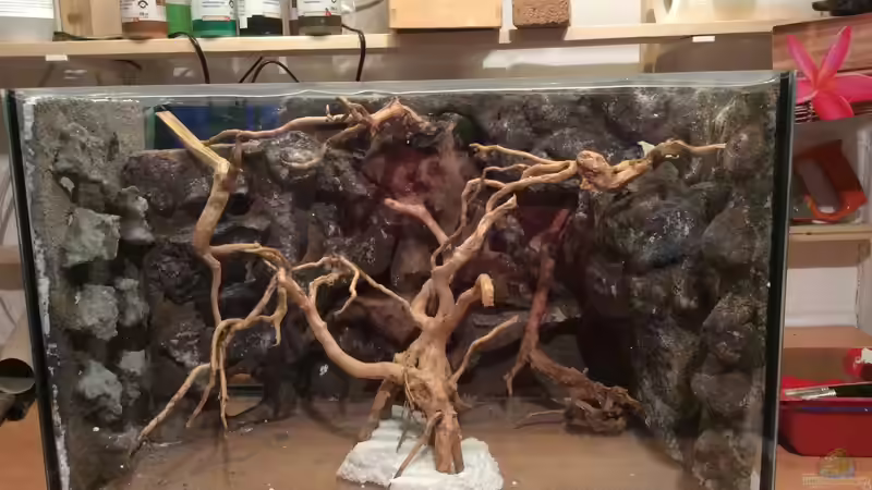 So ungefähr wird es aufgebaut. von Dülla (13)