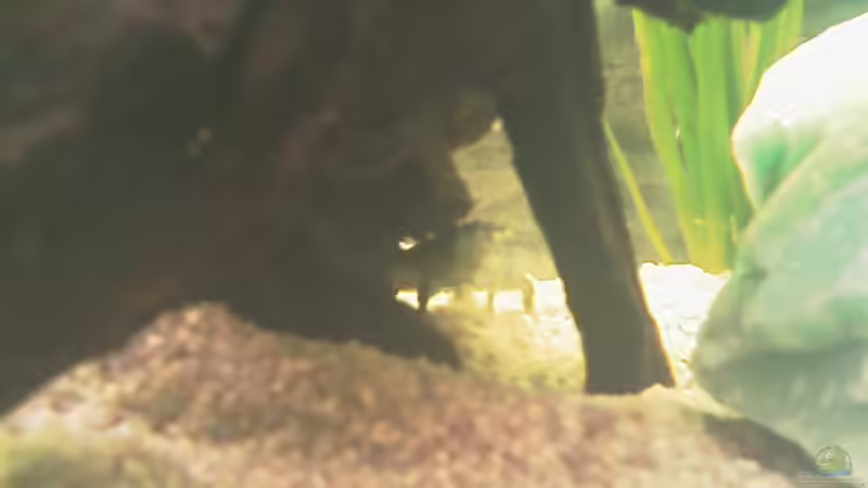 so viel Platz für uns zwei allein??? von Carmen Bernhardt (16)