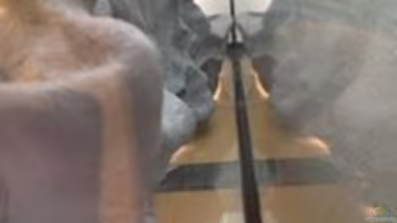 So viel Platz ist da noch von Tobias Sch. (4)