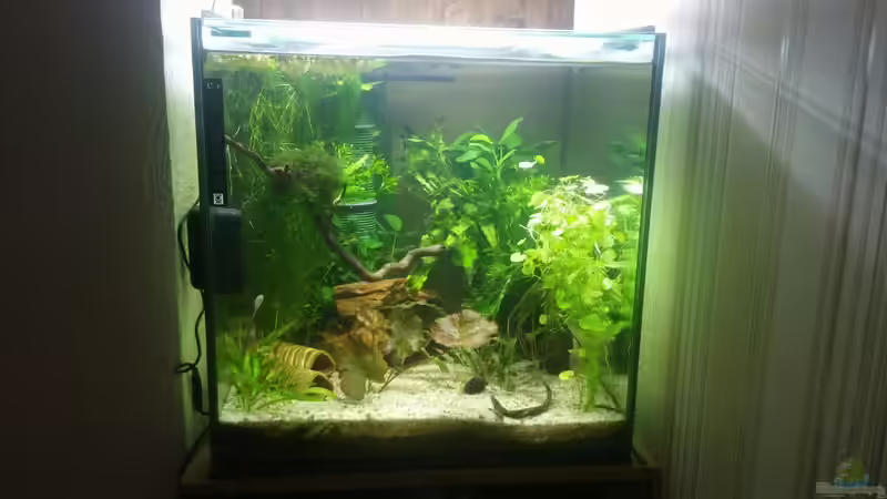 So war es am ersten Tag eingerichtet  von Miss Kasimir (14)