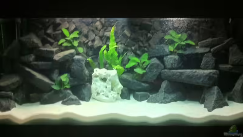 So war es ganz zum Anfang. von Meckel (8)