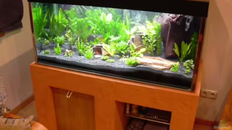 so weit, so gut von Sado-Uwe (6)