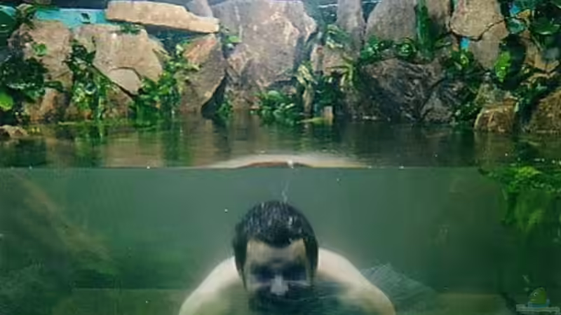 So wird ein Aq gereinigt :-) von Martin Fabick (3)