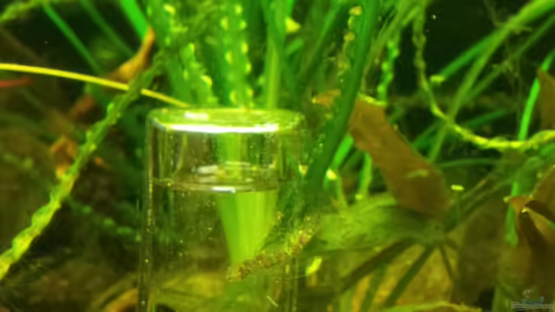 Söchting Mini-Oxydator von Kathrin77 (42)