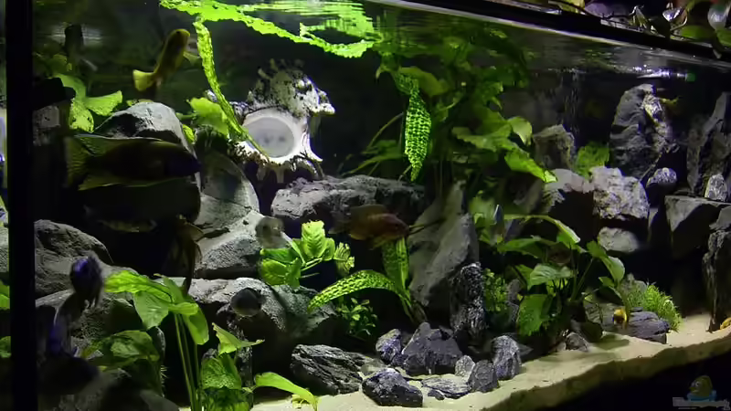 Sofa Aussicht von Marco Spurzem (3)