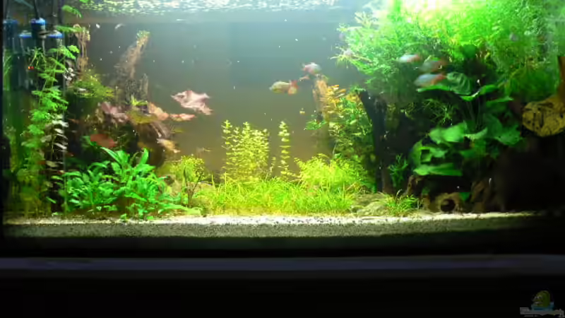 Sofa von Zapfenmanderl (4)