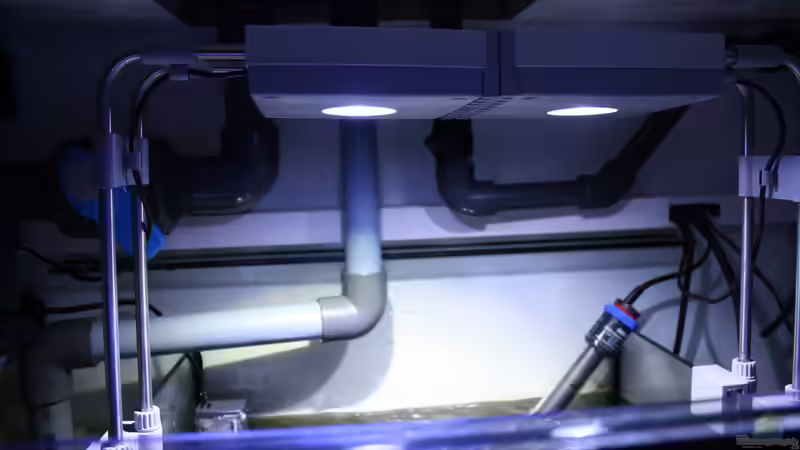 SolarFlex 2x12w von yipyip (6)