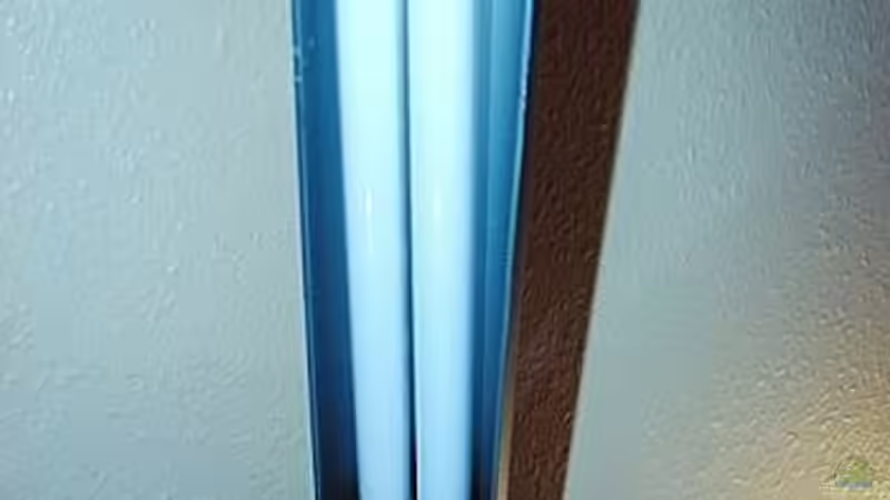 Solaris Klemmleuchte von Petra Kallmeyer (8)