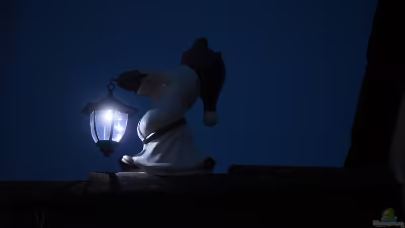 Solarleuchten: Nachhaltige Beleuchtung für jeden Garten