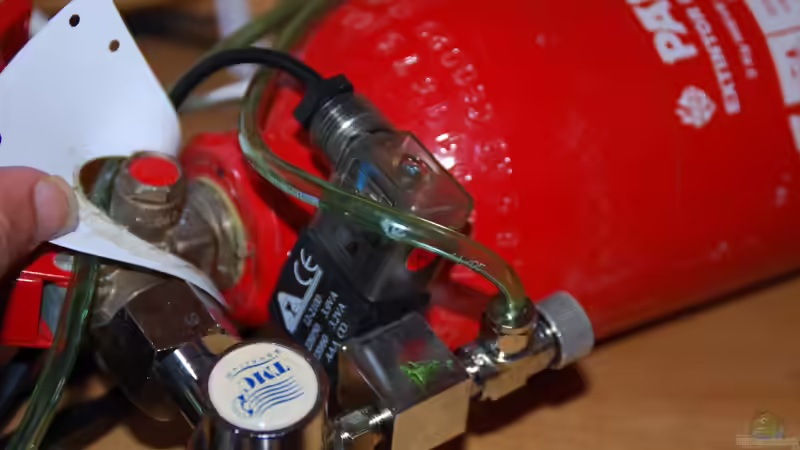 Solenoid von lomarraco (39)