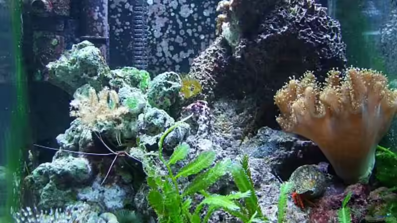 Sommer 2012 von Denise83 (3)