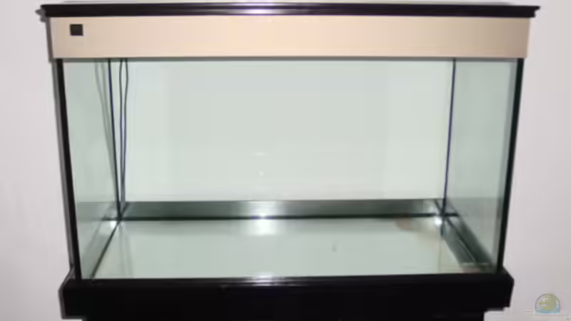 Sonderanfertigung 100x50x60 cm von rhauk (2)