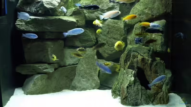 Sonderanfertigung 80 x 60 x 60 von LISA (1)