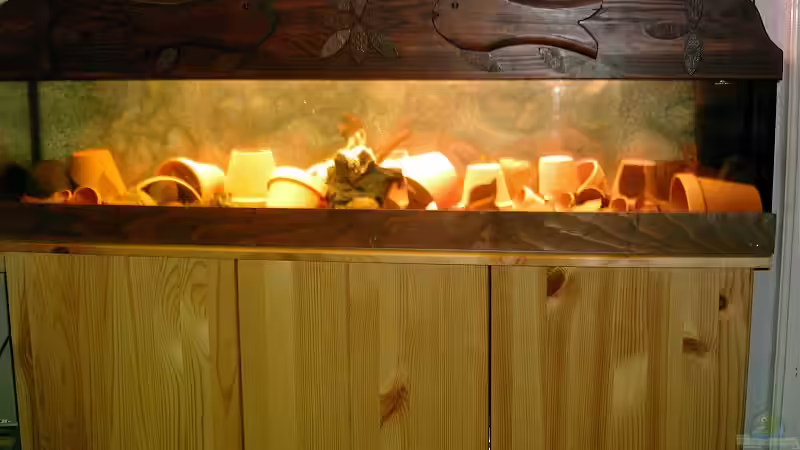 Sonderanfertigung von Wirbellose-Arenth (1)