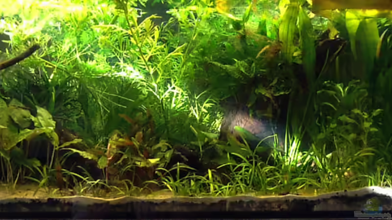 Sonne-18-11-09 von Mario74 (1)