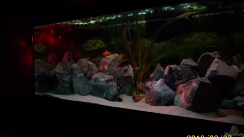 Sonne die 2. von 47 Malawi (7)