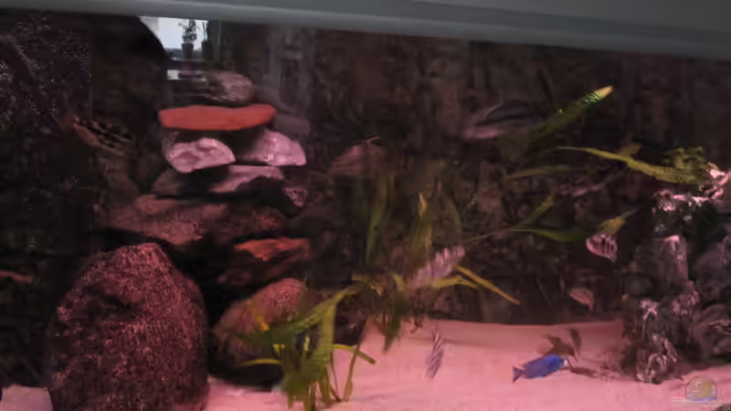 Sonneaufgang von Manfred Meyer (18)