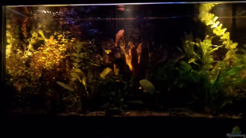 sonnen auf/untergang von Andreas Trunk (8)