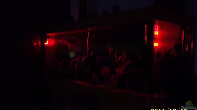 Sonnen aufgang/untergang von 47 Malawi (6)