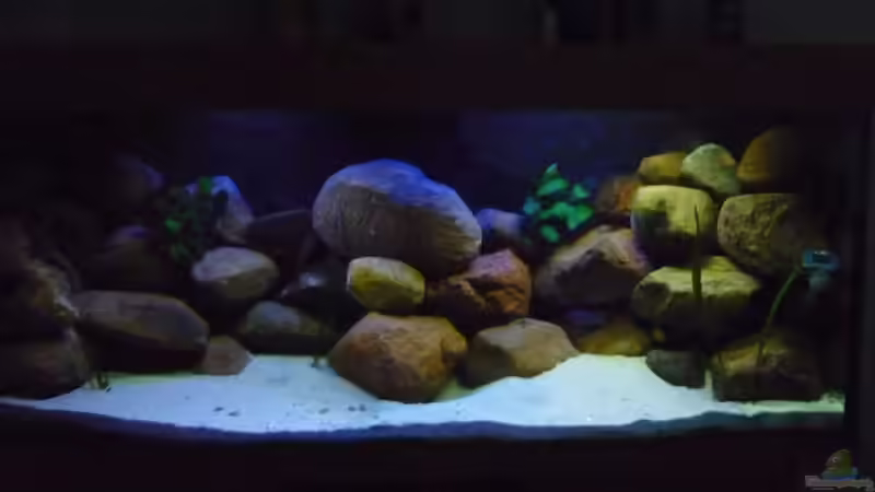 Sonnenauf-bzw.untergang von Yellow Man (5)