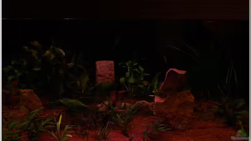 Sonnenaufgang ;-) von Christian Zwick (30)