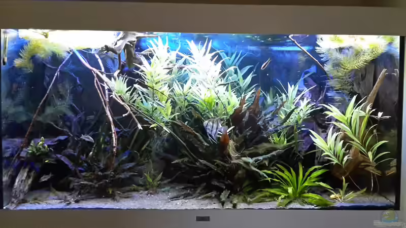 Sonnenaufgang - Dimmphase von Sascha-M.K. (3)