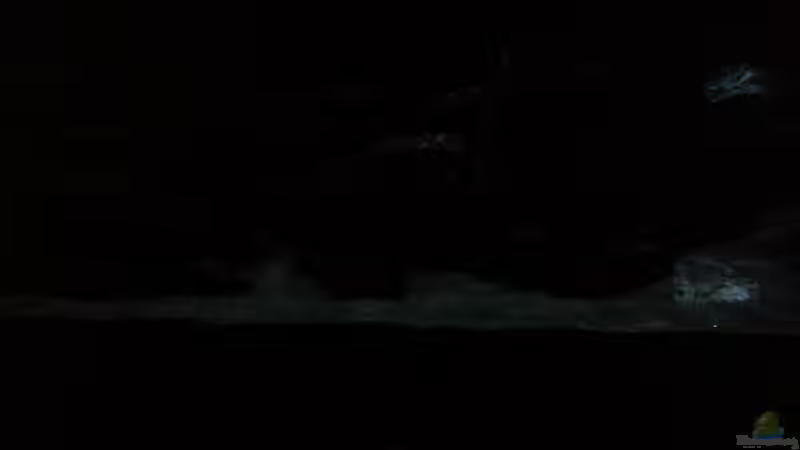 Sonnenaufgang. von Bitman (5)