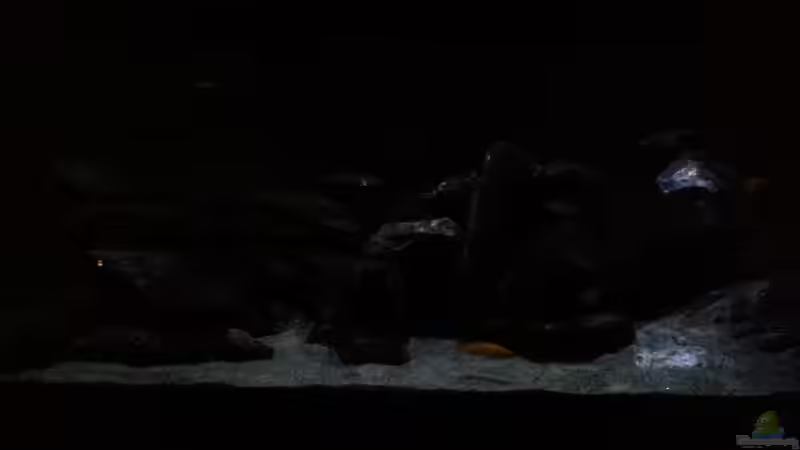 Sonnenaufgang. von Bitman (6)