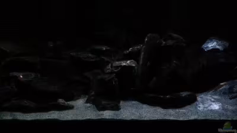 Sonnenaufgang. von Bitman (7)