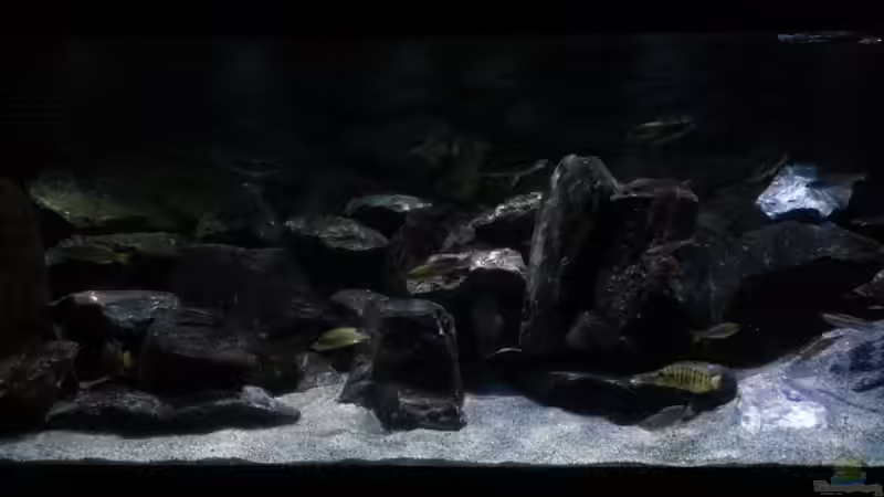 Sonnenaufgang. von Bitman (8)