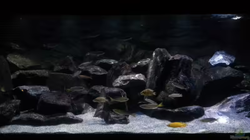 Sonnenaufgang. von Bitman (9)