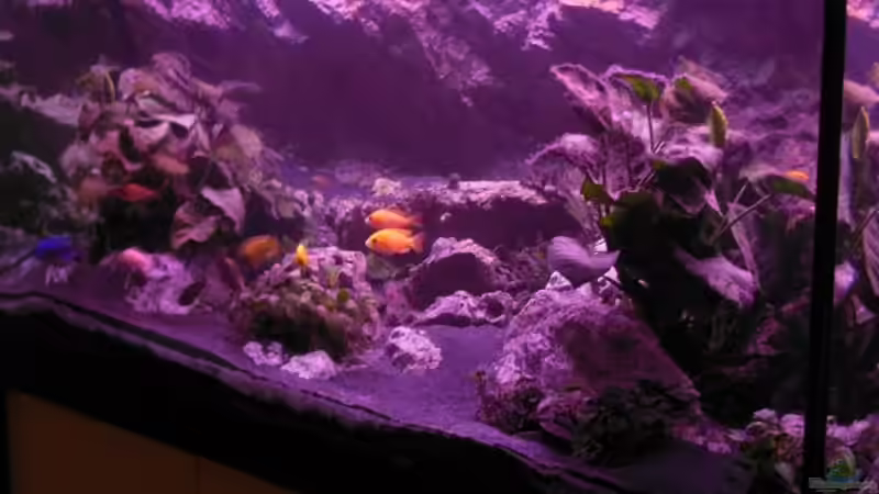 Sonnenaufgang  von tomwu (25)