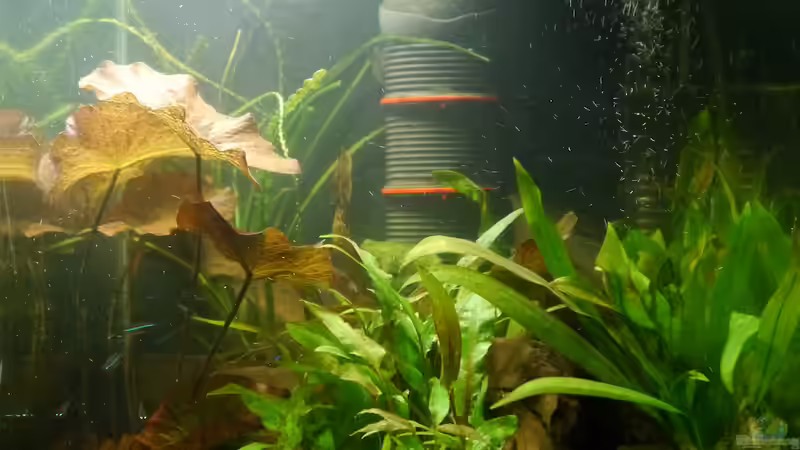 Sonnenaufgang am Morgen von Glückspirat82 (4)