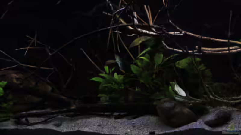 Sonnenaufgang im Becken von Florian Bandhauer (2)