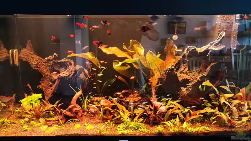 Sonnenaufgang im großen Becken  von Ralf Bercke (4)