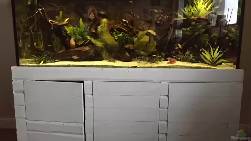 Sonnenaufgang mit tropic LED  von Basti@ (19)