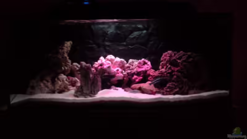 Sonnenaufgang/Untergang von O.K. (9)