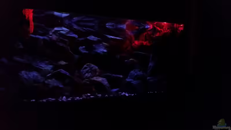 Sonnenaufgang von Daniel H. (20)