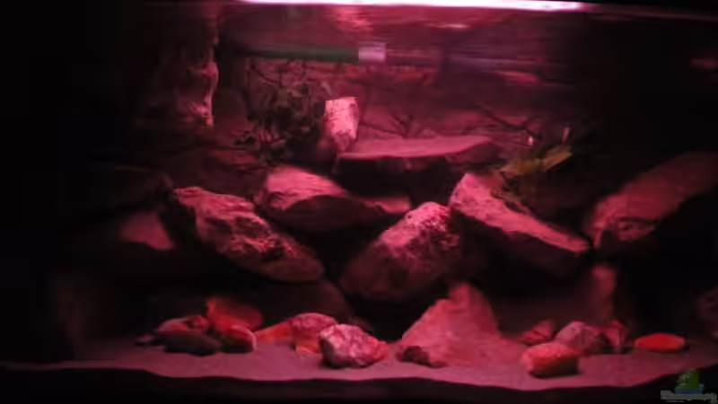 Sonnenaufgang von Herki (9)