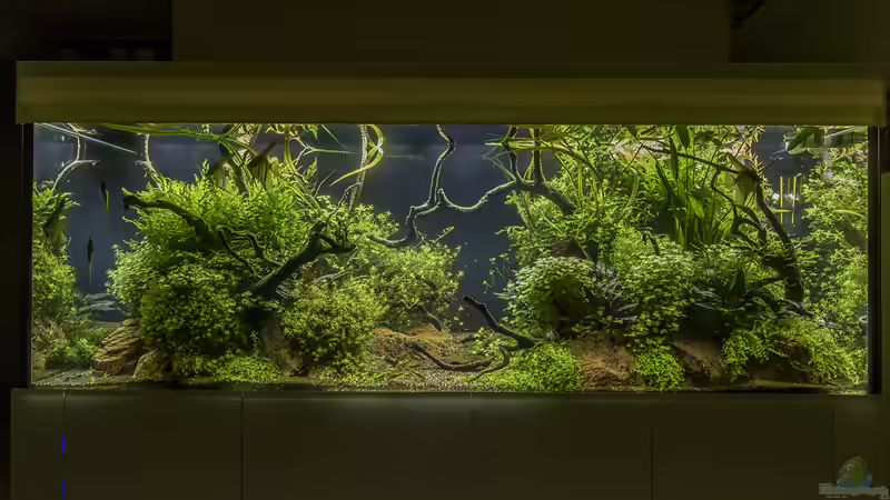 Sonnenaufgang von JARB (4)