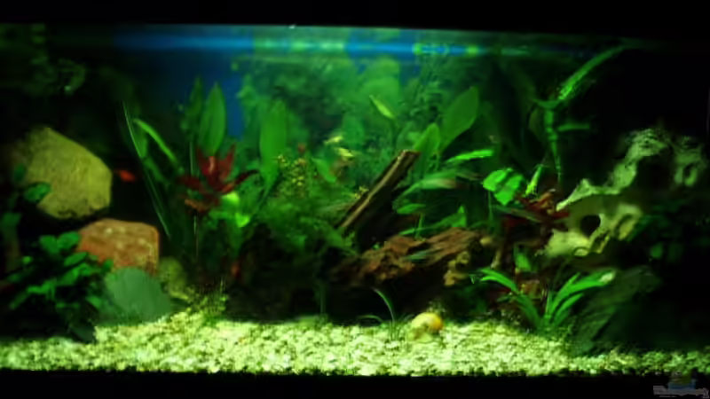 Sonnenaufgang von Jason (27)