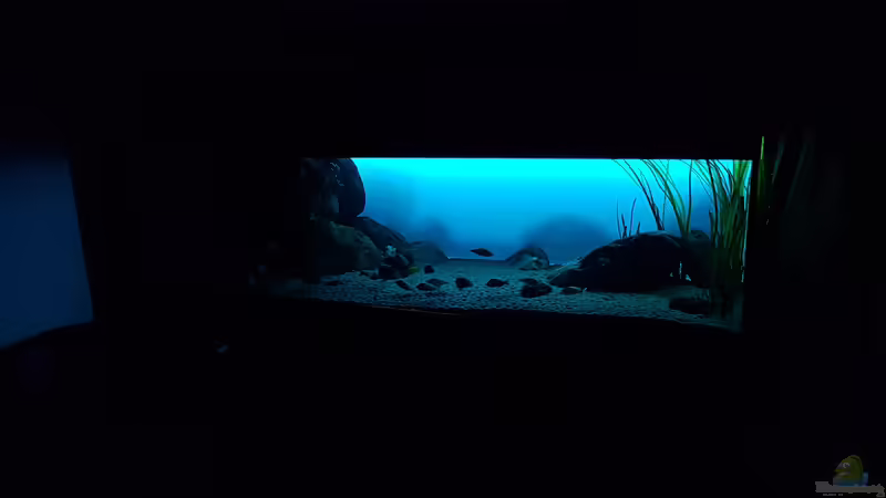 Sonnenaufgang von Limited (12)