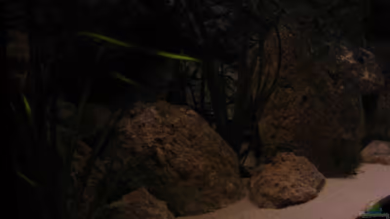 Sonnenaufgang von Malawigo (25)