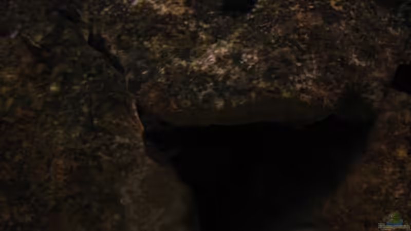 Sonnenaufgang von Malawigo (27)