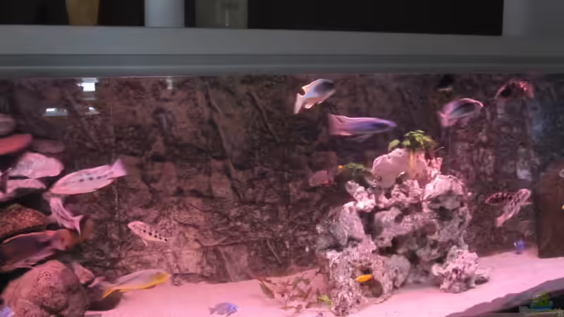 Sonnenaufgang von Manfred Meyer (19)